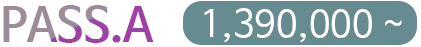PASS.A 1,390,000 ~
